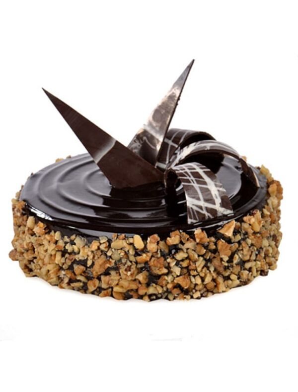 Choco Walnut